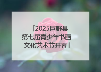 2025巨野县第七届青少年书画文化艺术节开幕