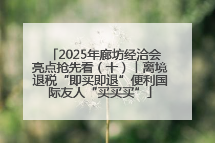 2025年廊坊经洽会亮点抢先看（十）丨离境退税“即买即退”便利国际友人“买买买”