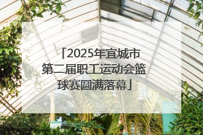 2025年宜城市第二届职工运动会篮球赛圆满落幕
