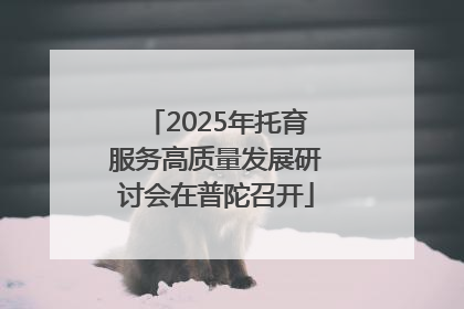 2025年托育服务高质量发展研讨会在普陀召开