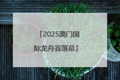 2025澳门国际龙舟赛落幕