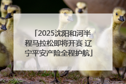 2025沈阳和河半程马拉松即将开赛 辽宁平安产险全程护航