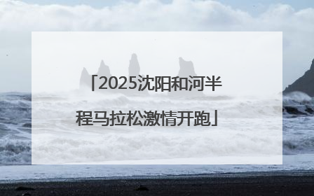 2025沈阳和河半程马拉松激情开跑