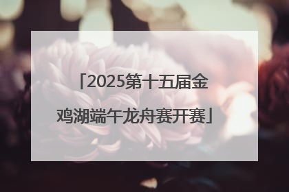 2025第十五届金鸡湖端午龙舟赛开赛