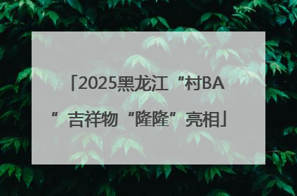 2025黑龙江“村BA”吉祥物“隆隆”亮相