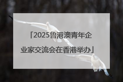 2025鲁港澳青年企业家交流会在香港举办