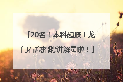 20名！本科起报！龙门石窟招聘讲解员啦！