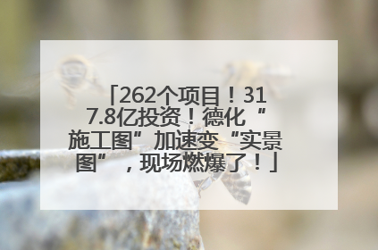 262个项目！317.8亿投资！德化“施工图”加速变“实景图”，现场燃爆了！
