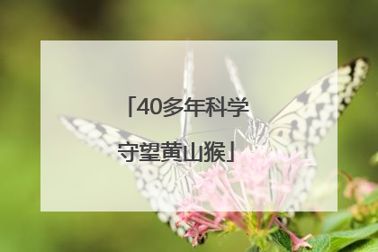 40多年科学守望黄山猴