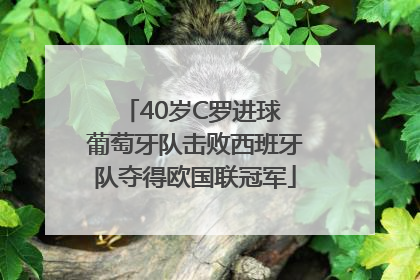 40岁C罗进球 葡萄牙队击败西班牙队夺得欧国联冠军