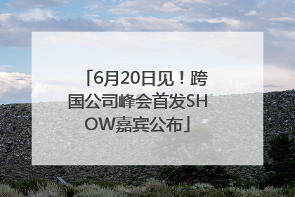 6月20日见！跨国公司峰会首发SHOW嘉宾公布