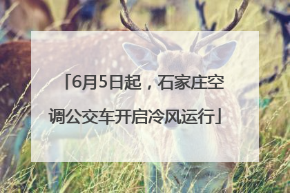 6月5日起，石家庄空调公交车开启冷风运行