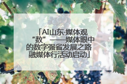AI山东·媒体观“数”——媒体眼中的数字强省发展之路融媒体行活动启动
