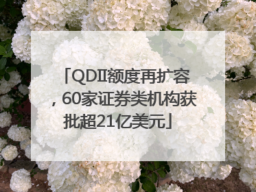 QDII额度再扩容，60家证券类机构获批超21亿美元